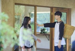 郑爽张恒最新八卦爆料,最新八卦爆料揭秘真相